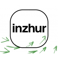 Inzhur, Інвестиційна компанія