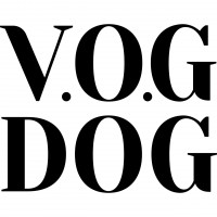 V.O.G DOG, груминг салон в Киеве