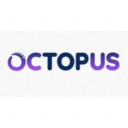 Octopus Agency, SEO послуги