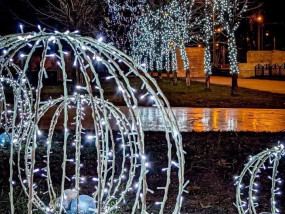 Харківські парки перед Новим роком 2025: святкове обличчя міста