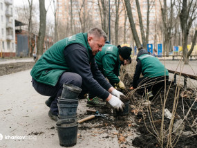 Харьковский сквер зеленеет на глазах
