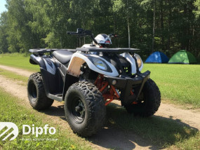 Топ-5 бюджетных квадроциклов для взрослых: обзор моделей