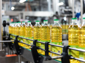 Переробка насіння соняшнику, сої та ріпаку: як це працює