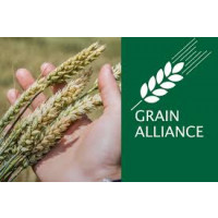 GRAIN ALLIANCE, Баришівська зернова компанія