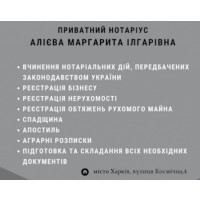 Приватний Нотаріус Алієва Маргарита Ілгарівна