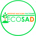 ИНТЕРНЕТ МАГАЗИН РАСТЕНИЙ ЭКОСАД