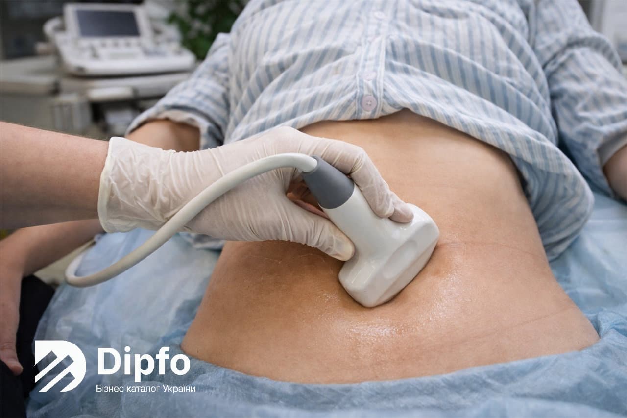 узи внутренних органов