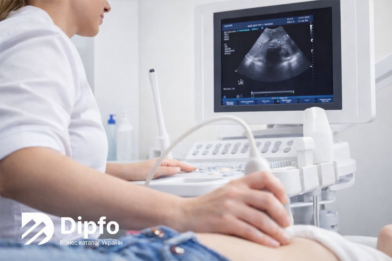 узи внутренних органов