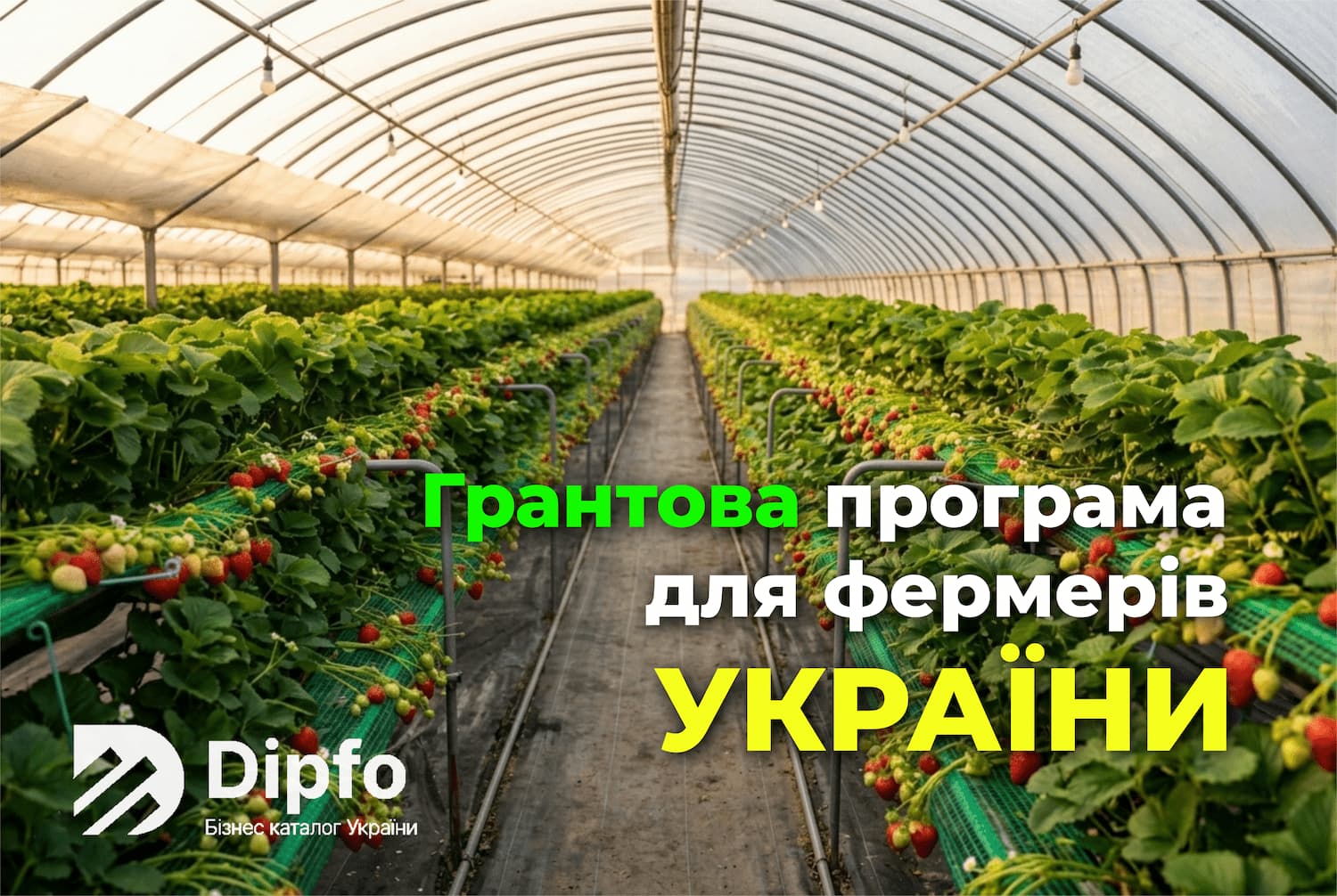 грантова програма для фермерів