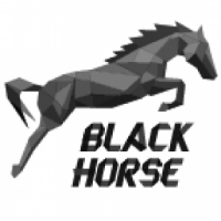 Веб-студия BLACK HORSE г.Харьков